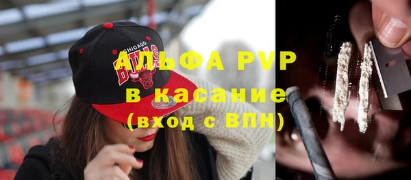 крисы Медвежьегорск